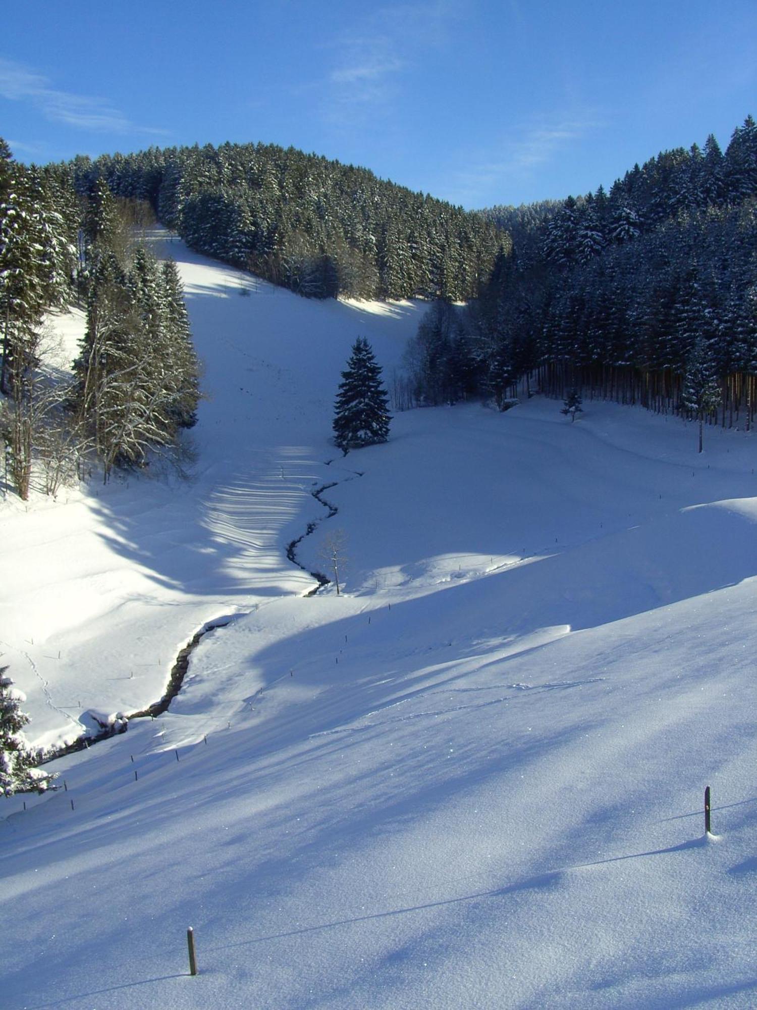 Thaelerhaeusle Otel Furtwangen Dış mekan fotoğraf