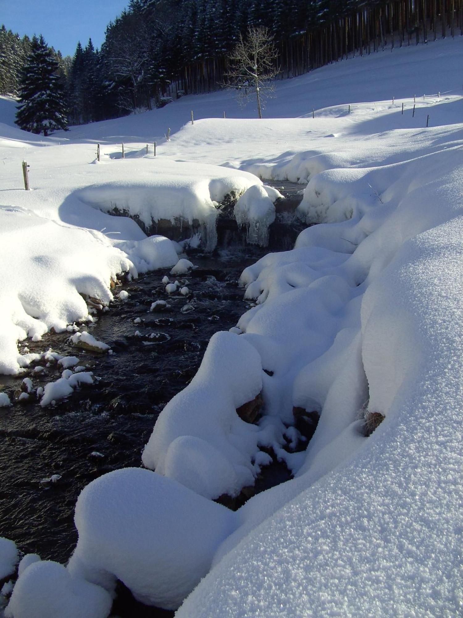 Thaelerhaeusle Otel Furtwangen Dış mekan fotoğraf